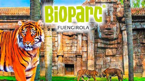 fuengirola selwo|Bioparc Fuengirola & Selwo Marina Tickets 